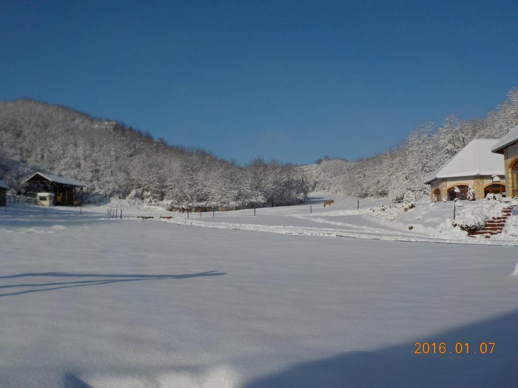 Naspolya Panzio Es Etterem Bataapati Exterior foto